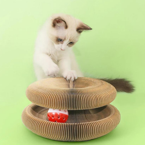 Magic Organ Cat Scratcher