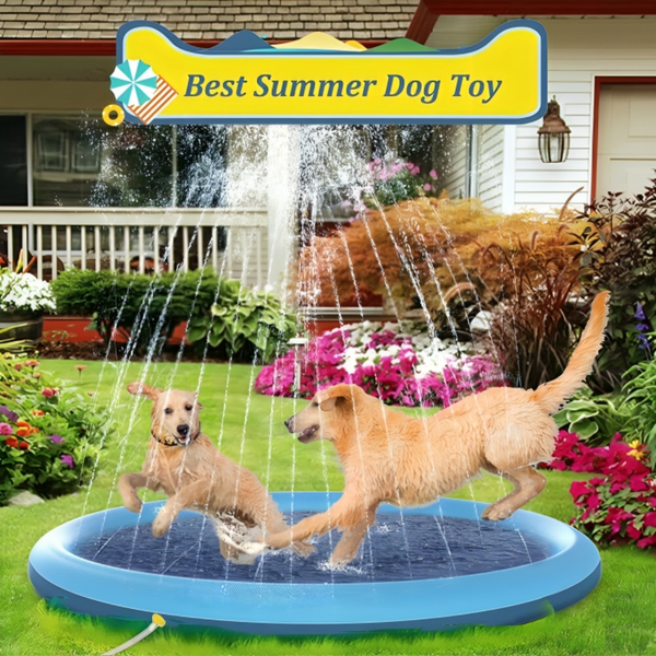 Pet Sprinkler Splash Pad